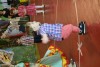 Festa Junina 2017