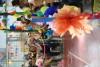 Festa Junina 2017