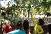Passeio Geral 2017.2