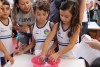 Feira de Ciências e Tecnologia 2017.2