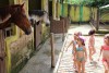 Passeio Geral 2017.1